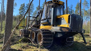 Eco Log 584F Unloading & Loading! [4K]