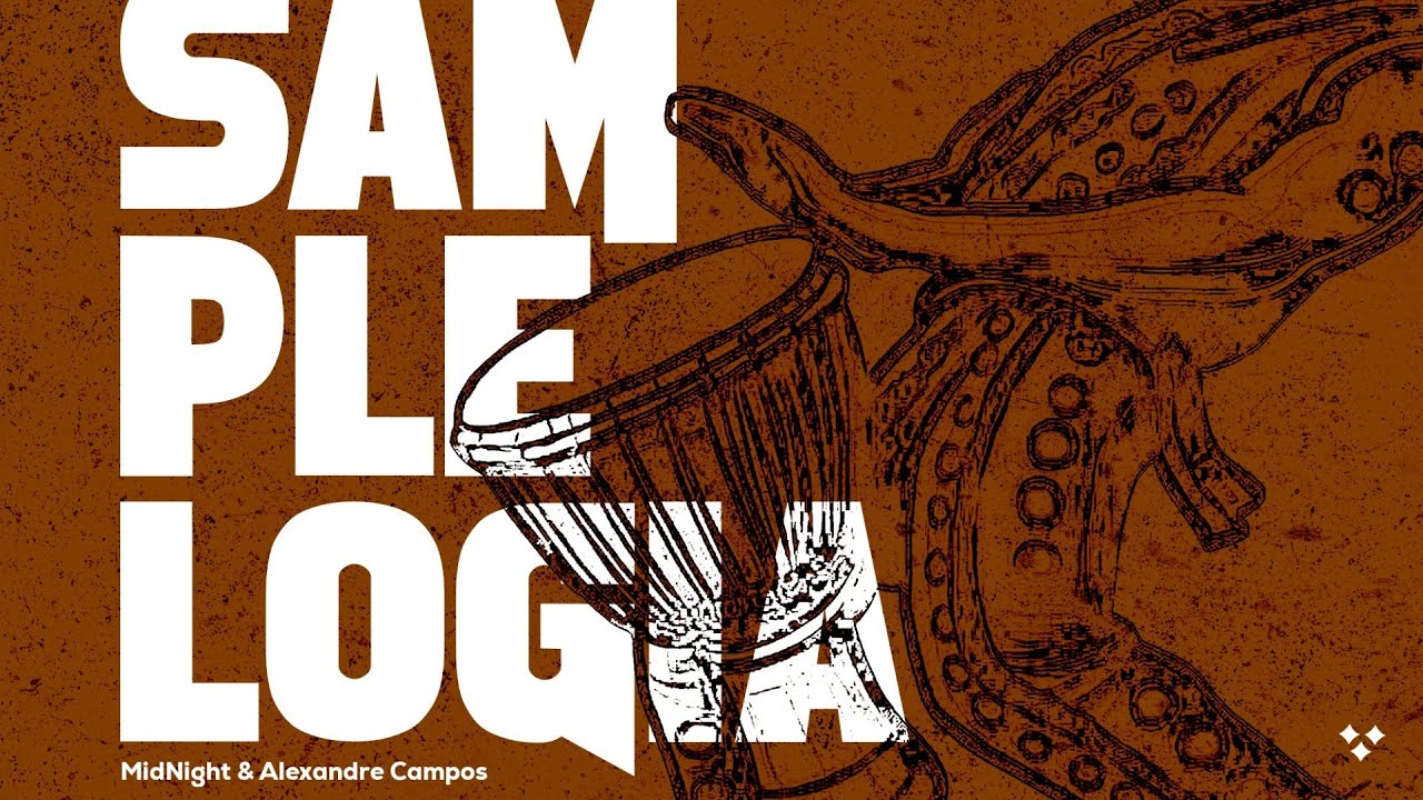 Midnight Commander & Alexandre Campos - Negra X Morena [Remix] (Visualizer)