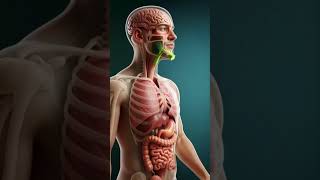 Healthy food for human body #ai #animation #futureofhealth