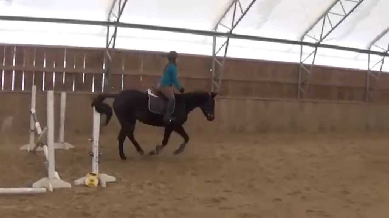 Saturday Riding Lesson - YouTube