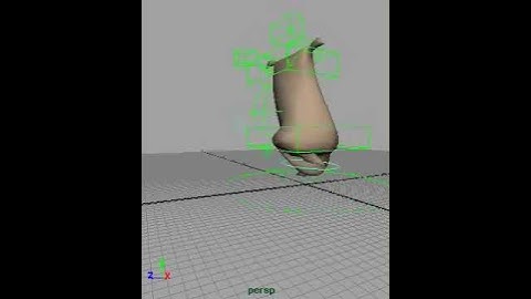 3D Maya Flower Sack
