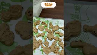 Wheat mini biscuits #shortsviral #homemadebiscuits #kidssnacks #anisi #healthyfood #wheatbiscuits