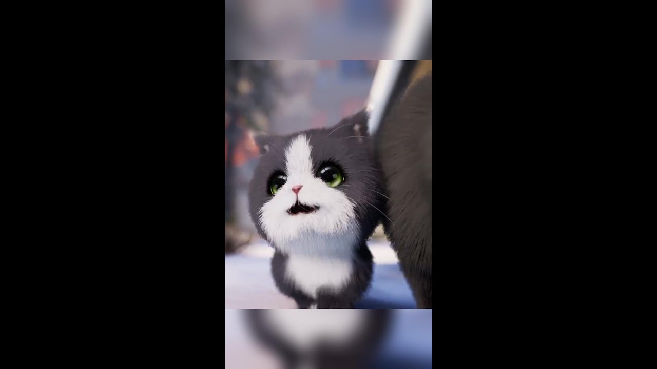 Kitten Match: PERFECT Time with Cute Kitties COMPILATION!