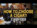 How to choose a cigar at davidoff london  kirby allison