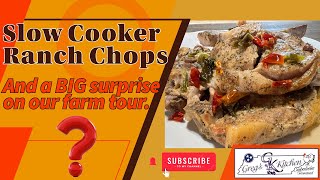 You Wont Believe How EASY It Is to Make CrockPot Ranch Chops!