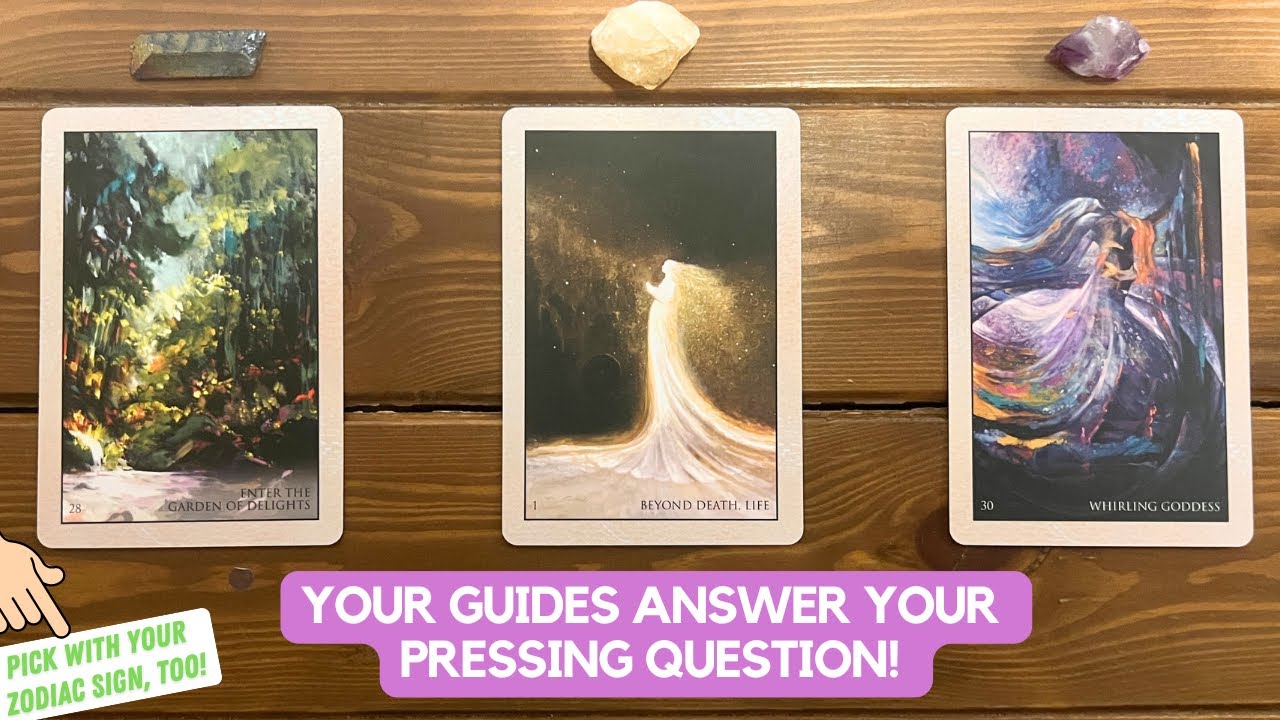 Your Guides Answer Your Pressing Question! | Timeless Reading