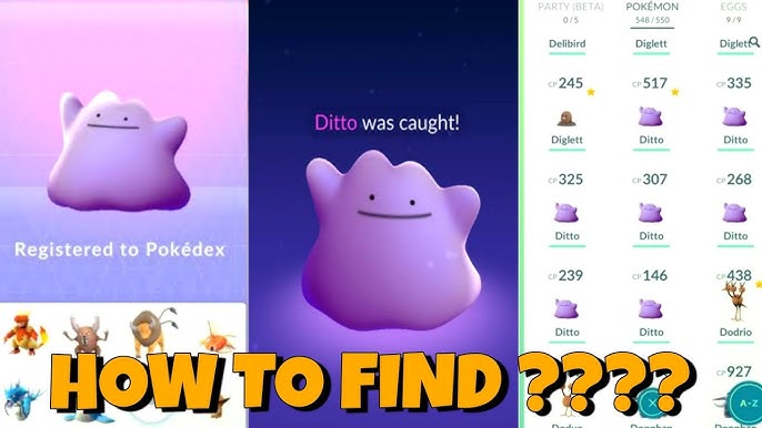 Couple of Gaming on X: Trainers started to report that #Ditto can
