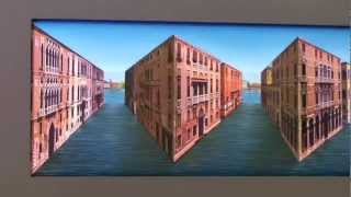 Vibrant Venice - Patrick Hughes, Winsor Gallery PERSPECTIVARIATIONS