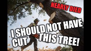 Precision Tree Service Live: Cutting Down Giant Tree Right Now!