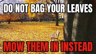 Everybody Bags Their Leaves - And Throws Away Two Free Things at Once