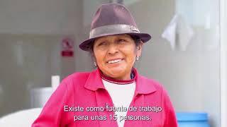 Proyecto Conafips Y Codespa
