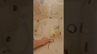 Angel Wanted To Use The Step In Tub