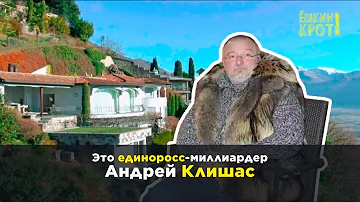 Какие природные богатства есть в Красноярском крае