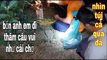 Chưa Bao Giờ Thăm Câu Cá Lóc Mùa Nước Nổi Mà Vui Như Vậy # SĂN BẮT ĐỒNG THÁP #