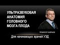 Ультразвуковая анатомия головного мозга плода. Запись 26.08.2021 г.