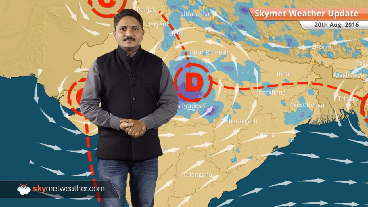 Weather Forecast for Aug 20: Heavy rains to continue in UP, MP, rain in Uttarakhand, Delhi