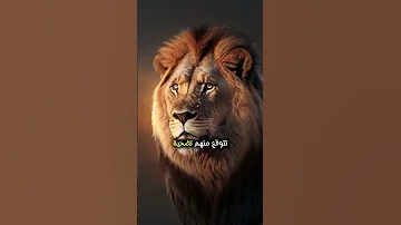 خف ض سقف توقعاتك لتحفظ قلبك من الخذلان توقعات الحياة خذلان حكمة واقع خواطر قلب مشاعر نصيحة 