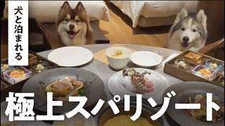 【犬とSUPも体験できる極上リゾート】リソルの森 Dear Wan Spa Gardenに泊まってきました