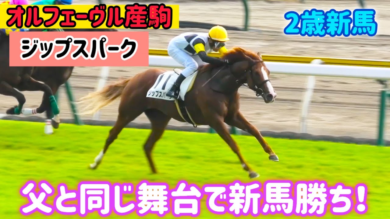 オルフェーヴル産駒】栗毛の美しさも体の小ささも父そっくりのジップ