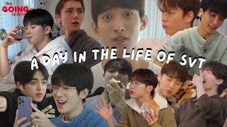 a questionable and chaotic day in the life of seventeen