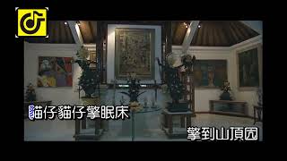 阿姆狐狸(女)-KTV0696