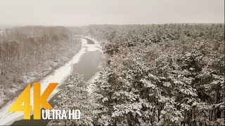 Winter Sonata - 4K (Ultra HD) Winter Forest Aerial Footage with Music