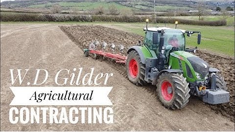 W.D Gilder Spring field work