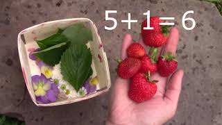 Grade 2: Math Lesson #8a Identifying and Acting Out Some, Some More Stories