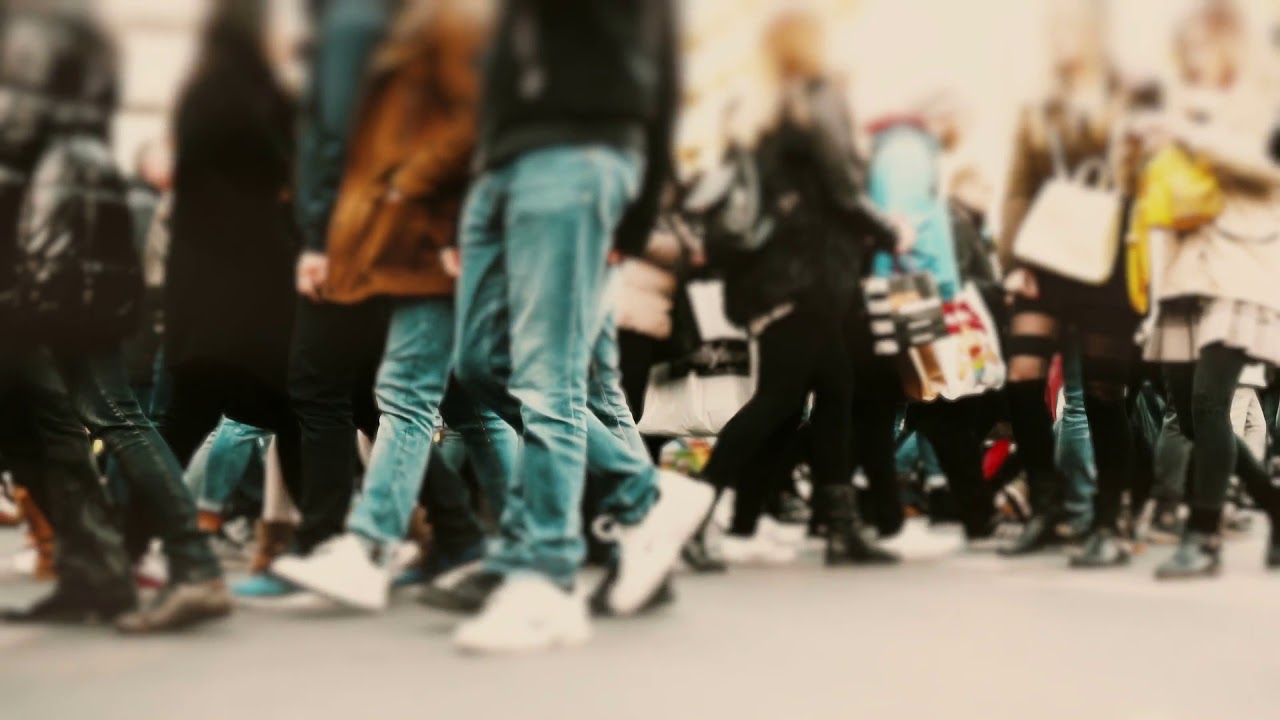 netkin Digital Marketing