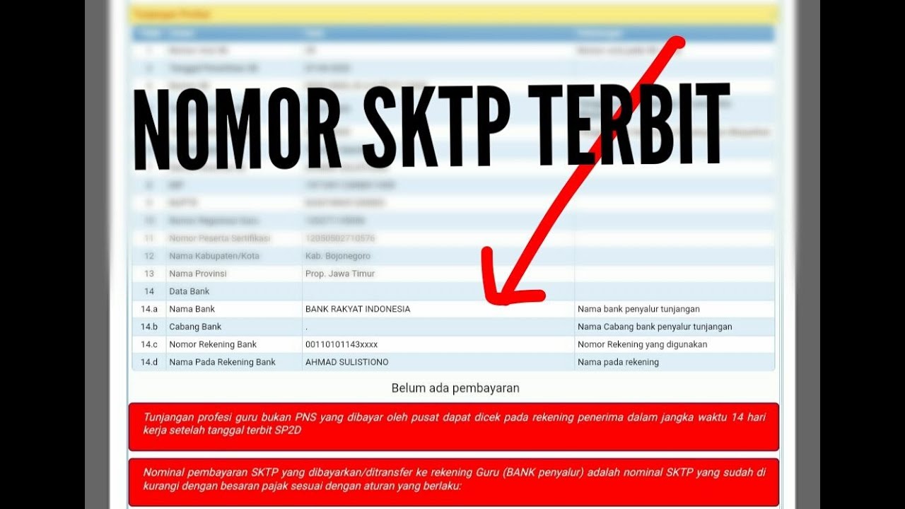 Ternyata Sudah Terbit SKTP - CEK STATUS VALIDASI TUNJANGAN PROFESI GURU