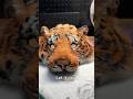 Making A Tiger Therian Mask Pt 2 Therian Therianmask Theriancrafts Tigertherian Tiger Yaelokre 