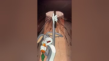 Bugs Bunny and the importance to test the waters | Looney Tunes | Boomerang Uk
