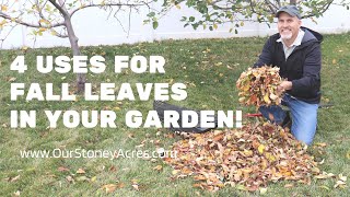 4 Uses for Fall Leaves in your Garden