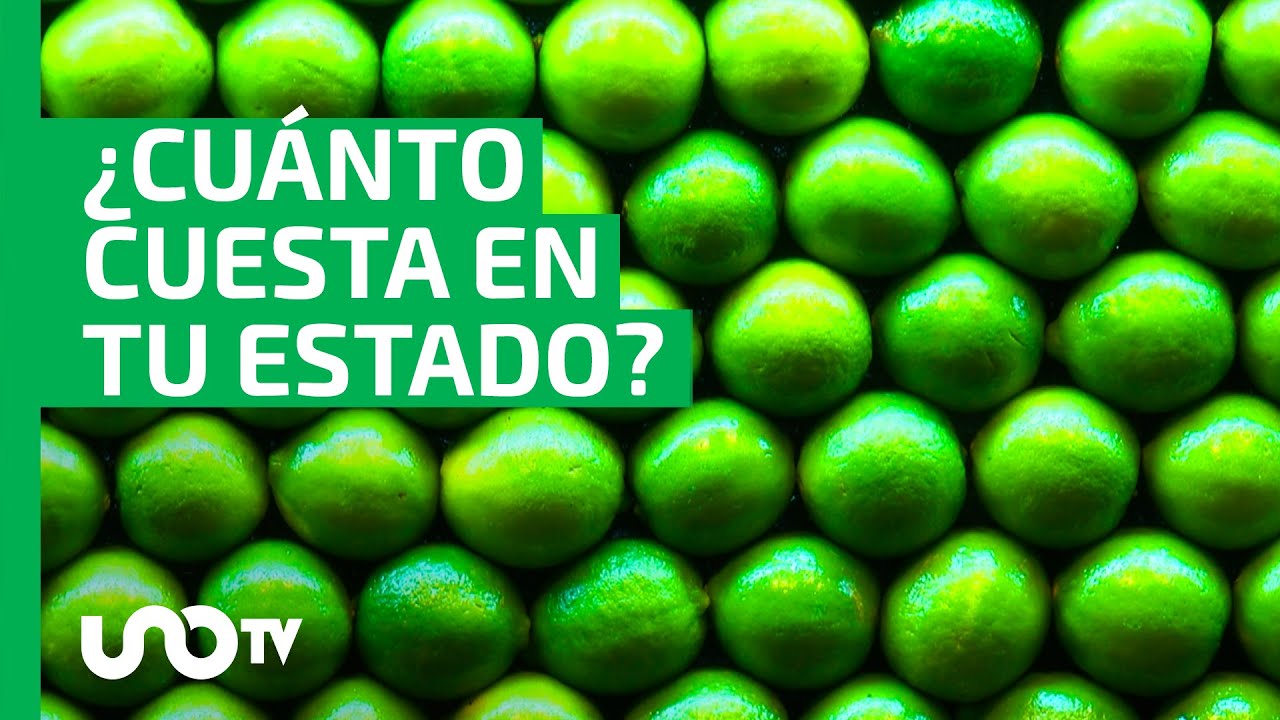 Precio del limón en México: ¿en dónde se vende más caro?