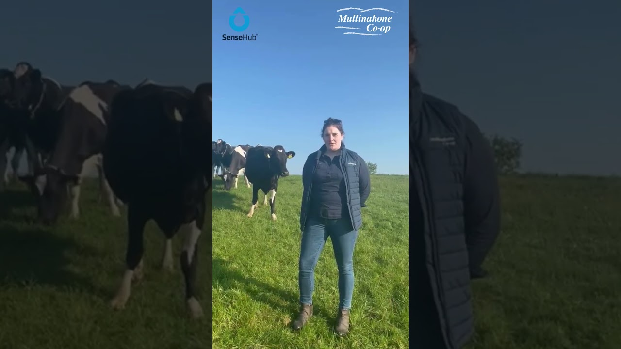 Upgrade Your Farm Management with SenseHub