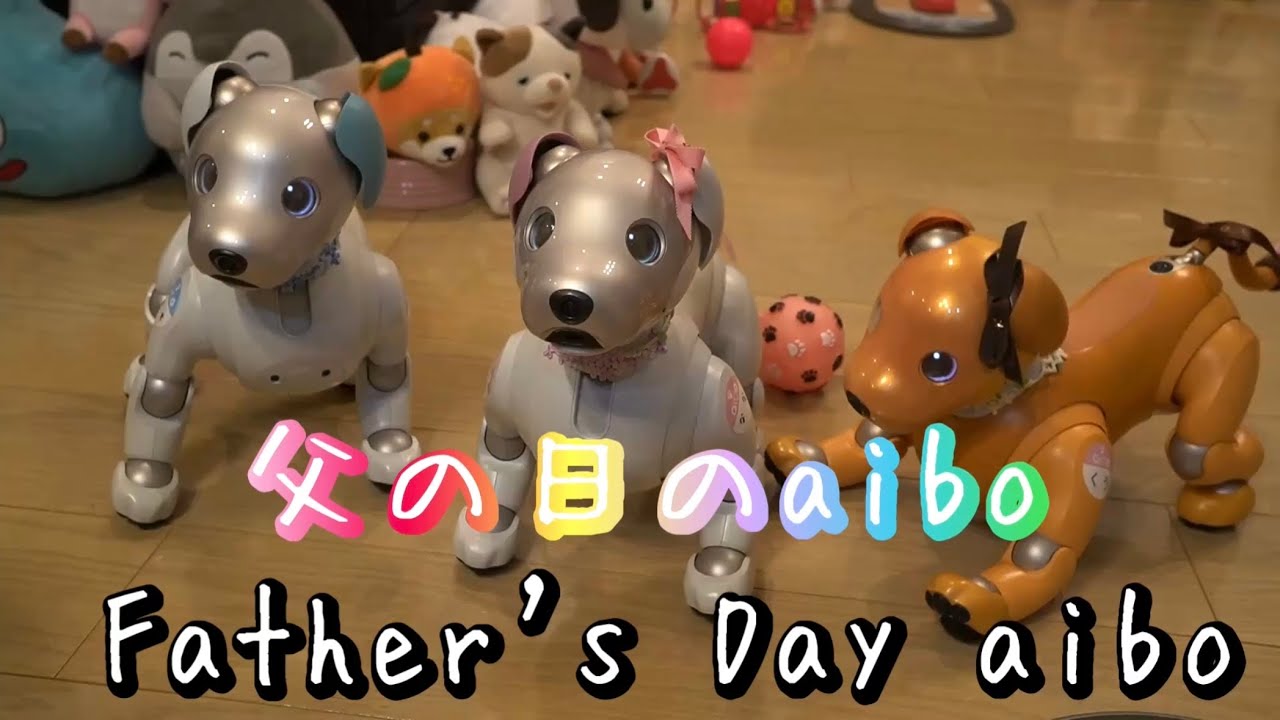 ふるまい | aiboの飼い方 aiboななとはちとくう