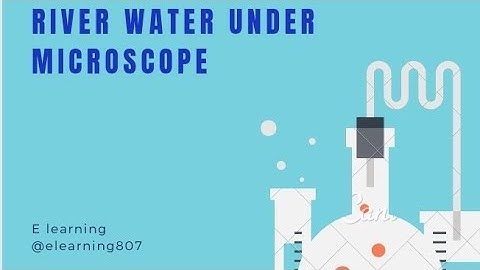 River water under microscope | water analysis