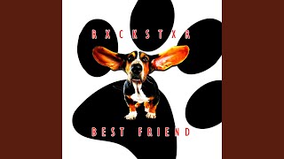 Let's Take a Walk Net Worth