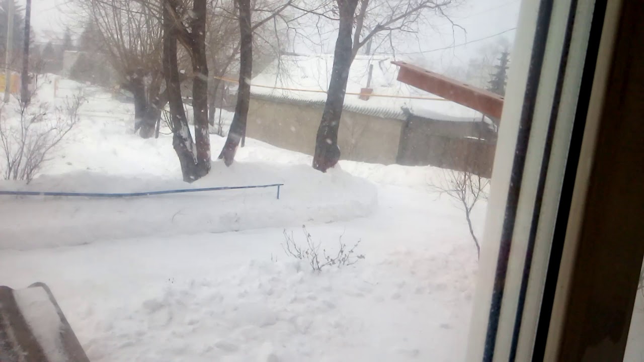 Погода советск калин обл Погода советск калин обл