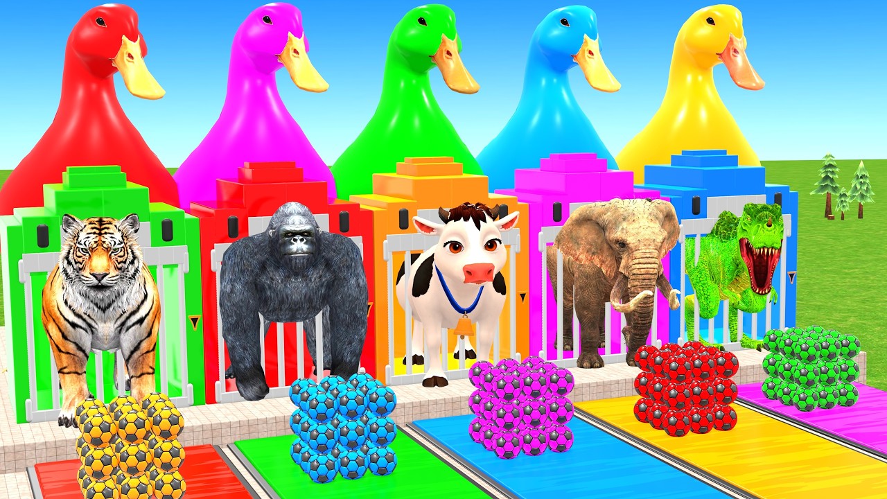 Long Slide Game With Elephant Gorilla Buffalo Hippopotamus Tiger - 3d Animal Game - Funny 3d Animals