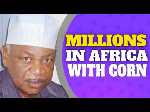 Story Of Mohamadou Abbo Founder Of Maïscam Which Makes Millions Per Year 