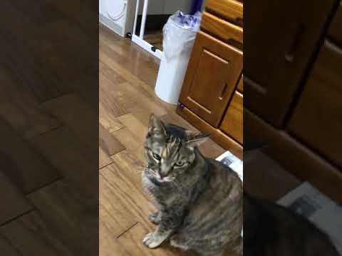 Uploads From こうへい くりゅう Youtube