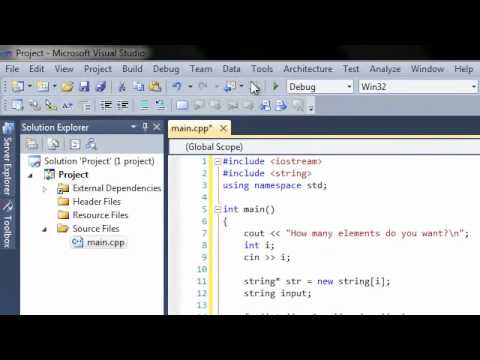C++ Allow User to Define Ammount of Elements in an Array via Dynamic Allocated Arrays
