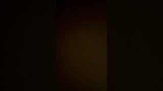 IMG 4516
