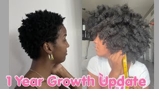 1 Year Post Big Chop Length Check | Hair Update✨& Reflection