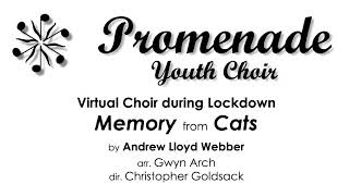 Memory from Cats