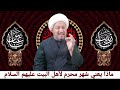 ماذا يعني شهر محرم لأهل البيت عليهم السلام 