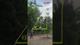 TREE HEIGHT USING TRIGONOMETRY