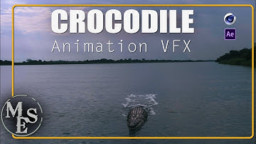 Crocodile Animation | Real flow 10 Similation, cinema 4d, After effects, krakatoa for c4d