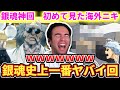 【過去一】銀魂の中でも特にヤバイ回を見るニコラスニキww【海外の反応】